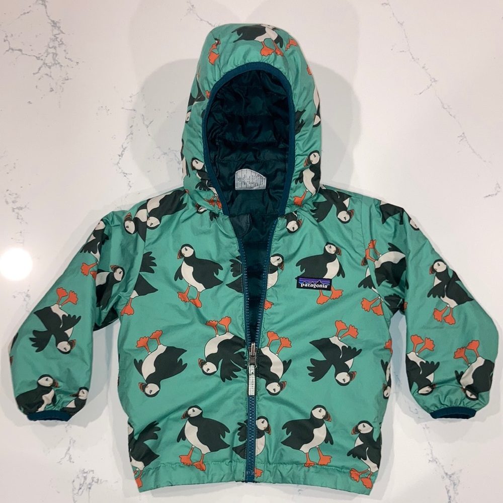 Patagonia Reversible Down Hoodie Jacket